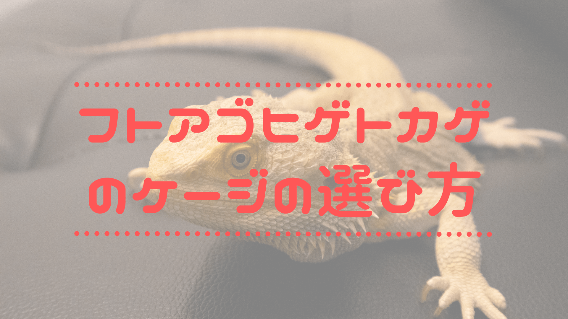90㎝ケージ！ 爬虫類 リクガメ 飼育ケース 木製 ゲージ A15☆ - 爬虫類